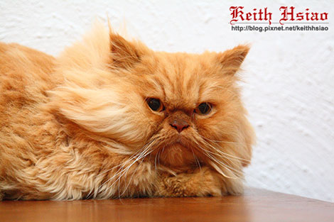 IMG_0843.jpg IMG_0843.jpg