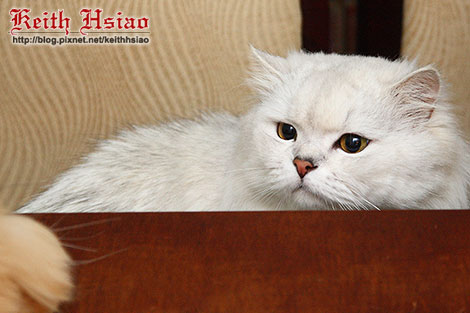 IMG_0850.jpg IMG_0850.jpg