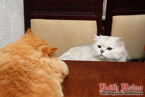 IMG_0851.jpg IMG_0851.jpg