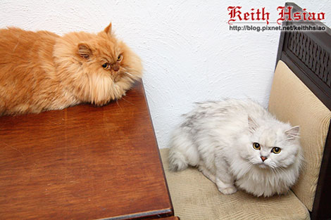 IMG_0853.jpg IMG_0853.jpg