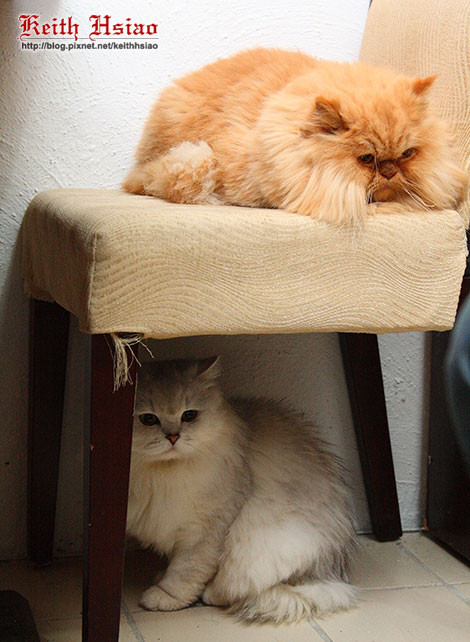 IMG_0859.jpg IMG_0859.jpg