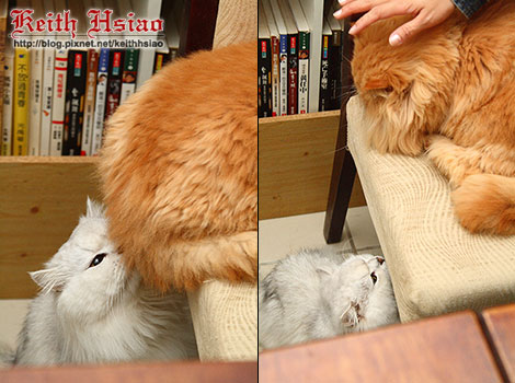 IMG_0861.jpg IMG_0861.jpg