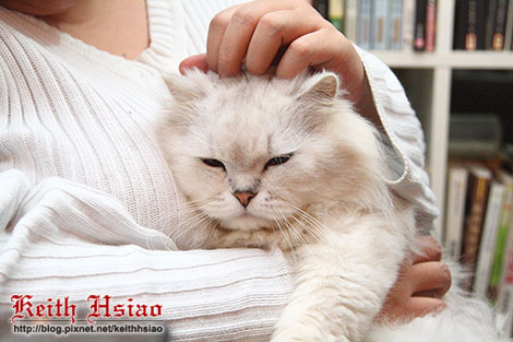 IMG_0890.jpg IMG_0890.jpg