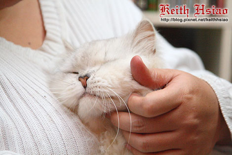 IMG_0891.jpg IMG_0891.jpg