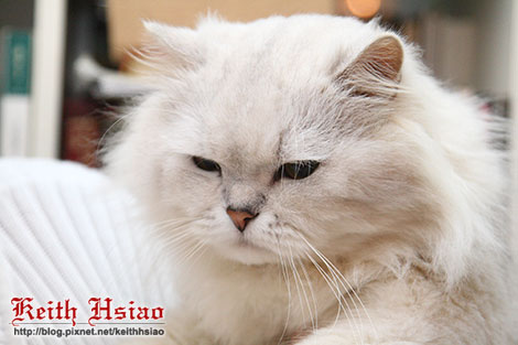 IMG_0895.jpg IMG_0895.jpg