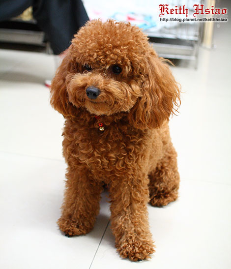 IMG_1239.jpg IMG_1239.jpg