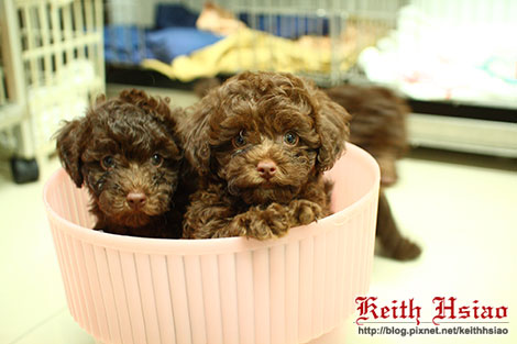 IMG_1248.jpg IMG_1248.jpg