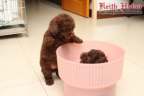 IMG_1301.jpg IMG_1301.jpg