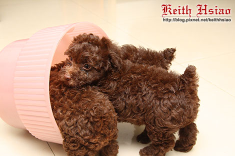 IMG_1302.jpg IMG_1302.jpg