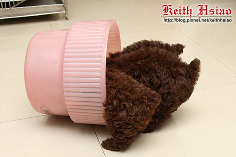 IMG_1304.jpg IMG_1304.jpg