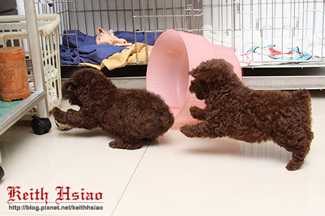 IMG_1310.jpg IMG_1310.jpg