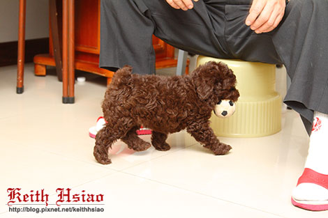 IMG_1314.jpg IMG_1314.jpg