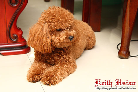 IMG_1323.jpg IMG_1323.jpg