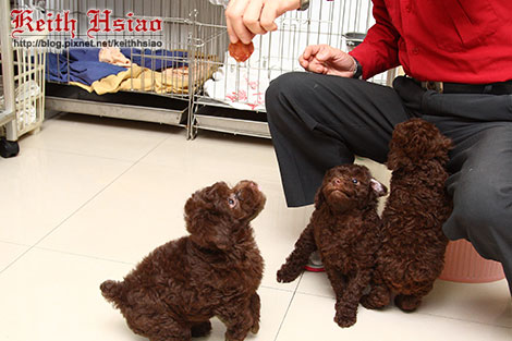 IMG_1324.jpg IMG_1324.jpg