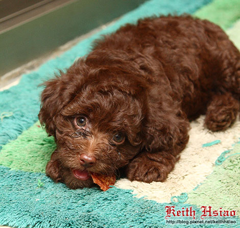 IMG_1329.jpg IMG_1329.jpg