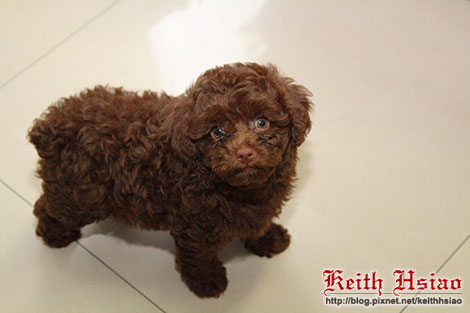 IMG_1335.jpg IMG_1335.jpg