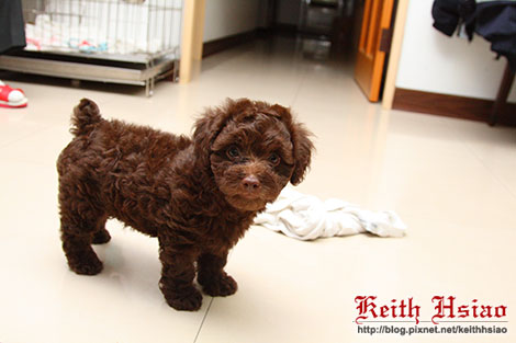 IMG_1349.jpg IMG_1349.jpg