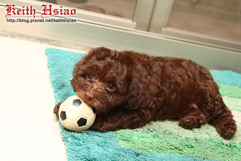 IMG_1319.jpg IMG_1319.jpg