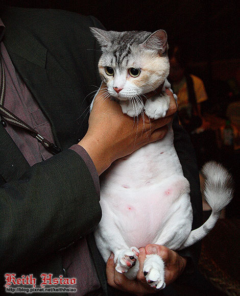 IMG_0547.jpg IMG_0547.jpg