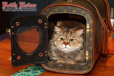 IMG_0257.jpg IMG_0257.jpg