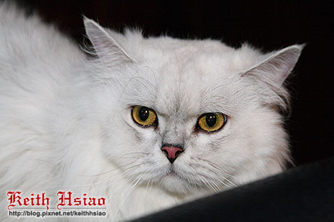 IMG_0281.jpg IMG_0281.jpg