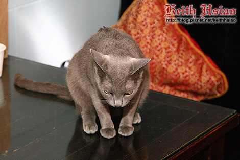 IMG_0284.jpg IMG_0284.jpg