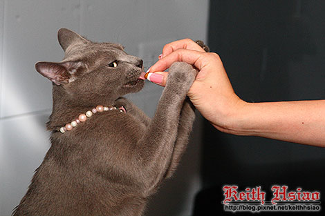 IMG_0285.jpg IMG_0285.jpg