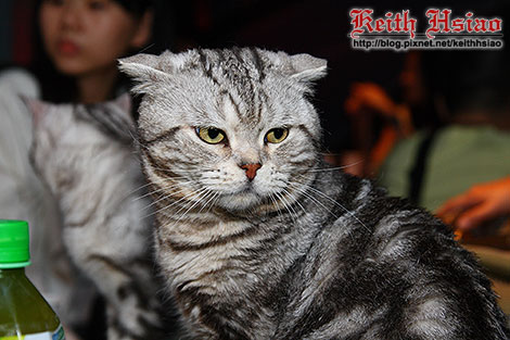 IMG_0293.jpg IMG_0293.jpg