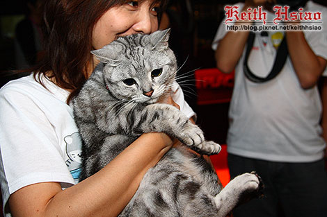 IMG_0301.jpg IMG_0301.jpg