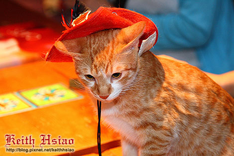 IMG_0333.jpg IMG_0333.jpg