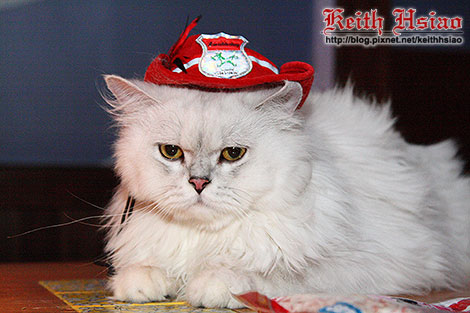 IMG_0352.jpg IMG_0352.jpg