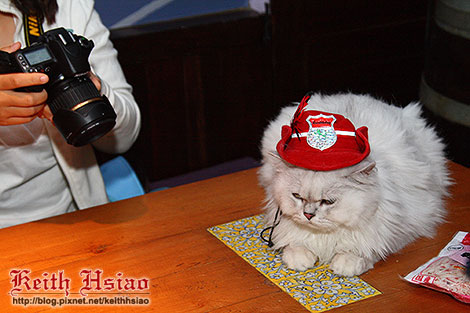 IMG_0358.jpg IMG_0358.jpg