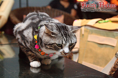 IMG_0361.jpg IMG_0361.jpg