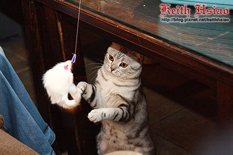 IMG_0368.jpg IMG_0368.jpg