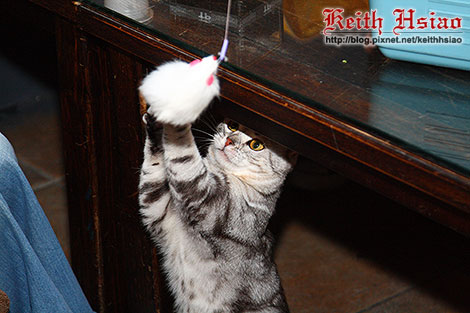 IMG_0372.jpg IMG_0372.jpg