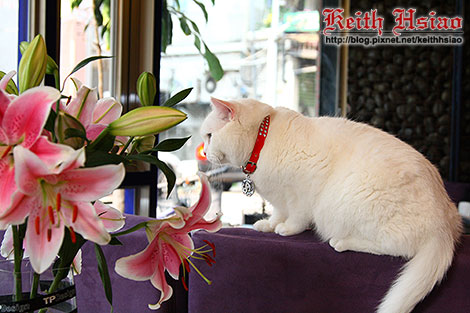 IMG_0376.jpg IMG_0376.jpg