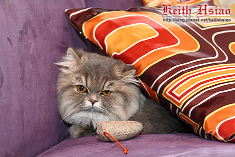 IMG_0380.jpg IMG_0380.jpg