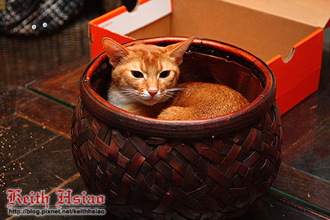 IMG_0407.jpg IMG_0407.jpg