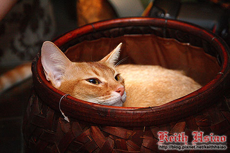 IMG_0410.jpg IMG_0410.jpg