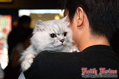 IMG_0413.jpg IMG_0413.jpg