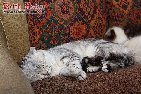 IMG_0414.jpg IMG_0414.jpg