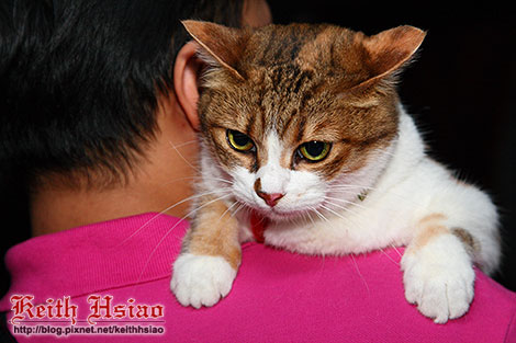 IMG_0427.jpg IMG_0427.jpg