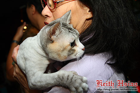 IMG_0428.jpg IMG_0428.jpg