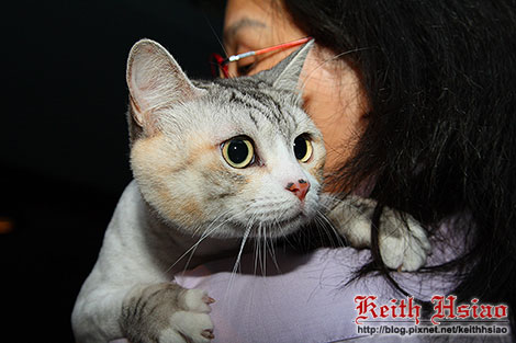 IMG_0429.jpg IMG_0429.jpg