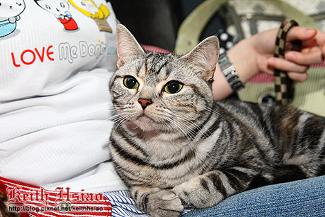 IMG_0445.jpg IMG_0445.jpg