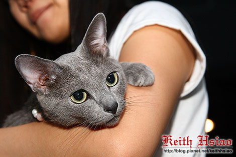 IMG_0458.jpg IMG_0458.jpg