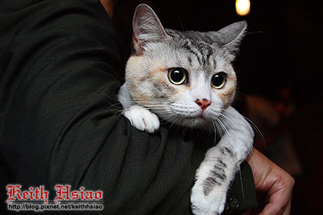 IMG_0545.jpg IMG_0545.jpg