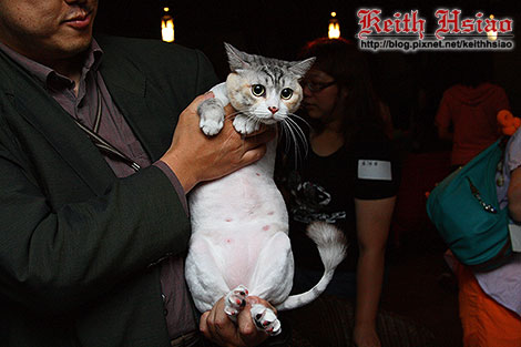 IMG_0546.jpg IMG_0546.jpg