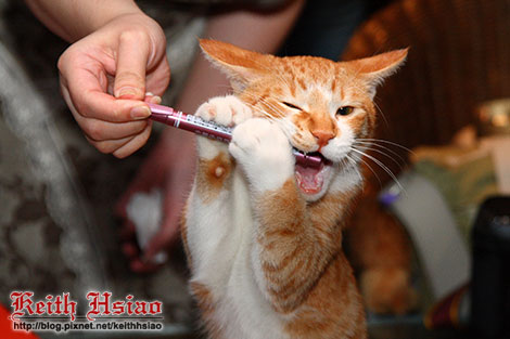 IMG_0421.jpg IMG_0421.jpg