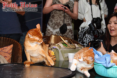 IMG_0260.jpg IMG_0260.jpg